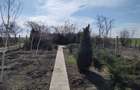 Vand teren in Mirila - 3 km de oras Bals - 6