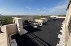 Penthouse 250mp zona Baneasa - 3