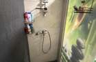 Apartament 2 camere / Decomandat / Berceni - Odei/ Mobilat - Utilat - 4