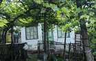 Vand casa ?i gradina - 1