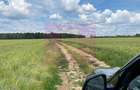 Teren 6,26 ha langa DEx12 Pitesti - 12