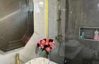 Apartament sector 1/ bloc nou / complet mobilat/utilat PARC BAZILESCU - 11