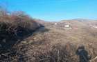 Teren de vanzare - 1700m2 Sard - 16