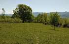 Teren 8500mp langa Calimanesti