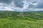 Domeniu 15.900 mp in Fintesti | Casa + Investitie Dealu Mare - 19
