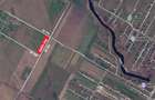 Teren 4465 mp Str. Nuferilor, Vidra - Berceni, Ilfov - 1