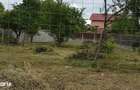 Teren intravilan 1.000 mp, front 18 m, Mogo?oaia - 4