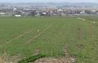 Teren intravilan | Granicesti | 32 ARI - 8