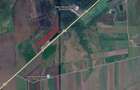 Teren 11.700 mp de vanzare Harman, Brasov | langa DN11 - 3