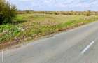 Teren intravilan 1.900 mp Buturugeni, Giurgiu (direct proprietar) - 3