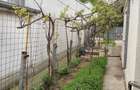 Casa de vanzare, zona pod Brailita - 18
