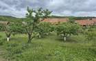 Casa de vanzare - Bucerdea Vinoasa - 2