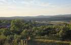 Proprietar | Teren intravilan 3.211 mp Vechea Chinteni | Asfalt, Utilita?i, Internet Fibra, Panorama - 3