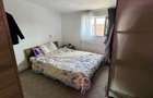 Casa 14 camere si 8000mp teren localitatea Sacadat - 7