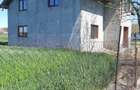 Casă cu Teren 3400 Mp în Ivanda - 4