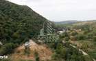 Teren de vanzare, 5000mp, cu iesire la rau, in Borlova, Muntele Mic - 6