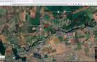 Teren intravilan 18.200 mp Saftica Balotesti