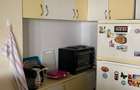 Apartament 2 camere luminos – Calea Plevnei- Facultatea de Medicină Carol Davila - 19