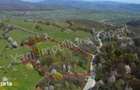 Teren 15.856 mp de vanzare in comuna Valea Ia?ului, jude? Arge?. - 8