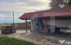 Casa de vanzare, sub padure, intr-un cadru natural deoseb - 5