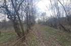 Vand teren intravilan 4900m2 - 2