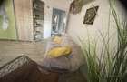 Apart.3-4 cam, 1 loc parcare subt.privata si libera in incinta complex - 2