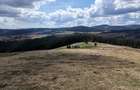Teren de vanzare 15 hectare in Bucovina Moldova Sulita zona Lucina - 7