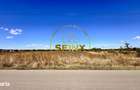 Corbeanca 5000 mp | deschidere 22 m la drum asfaltat | padure | utilit - 12