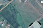 Teren 18.247 mp cu balta de pescuit Misca, Comuna Chislaz, Bihor - 6