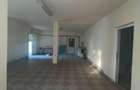 Vind mic Complex , 505 mp in loc.Cerisa, nr.84 , Jud.Salaj - 6