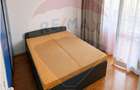 Apartament cu 2 camere de inchiriat in zona Cetate - 2