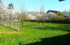 TEREN in Cornu de jos. - 5
