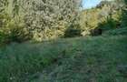 De vanzare teren 11500 mp partial intravilan