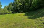 Teren intravilan de vanzare 1439 mp Luncani strada Slatinei - Bacau - 9
