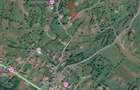 Teren de vanzare in Borsa, strada Malului, 28 ari, intravilan - 7