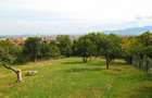 Teren Intravilan 3290 mp Codlea 3 Parcele