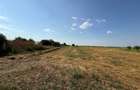 TEREN INTRAVILAN 5.000 MP – DÂRZA, CREVEDIA | 8 €/MP | OPORTUNITATE - 1