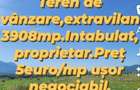 Teren de vanzare extravilan - 8