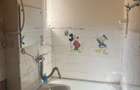 Apartament 3 camere , Petru Dobra - 15