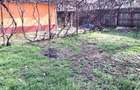 PRELUNGIREA FERENTARI - Casa+Teren 417 mp - Str. Mihail Calinici