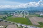 Teren 6.753 mp cu PUZ aprobat Sanpetru | Dezvoltare rezidentiala - 5