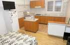 Apartament 1 camera, foarte spa?ios, cu termoteca, central - Podgoria - 5