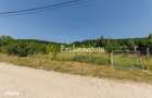 Teren intravilan Stefanesti Valea Mare Podgoria - 6