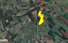 103 ha teren arabil compact, la 25 km de Timisoara - 3