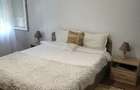 Apartament cu 3 camere, mobilat, gradina - 8