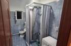 Apartament 2 camere in Uricani, de inchiriat - 7