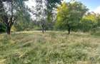 Teren intravilan de vanzare 7.287 mp Ibanesti Padure - 14