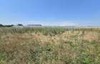 Proprietar, vand teren intravilan 500mp - 1