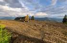 17 Ha Hectare pe Via Transilvanica intravilan + extravilan in Fundu Moldovei - 2
