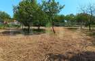Casa cu 2 camere, 250 mp, zona sud-est - 18